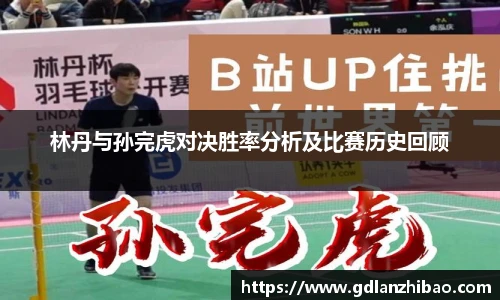 林丹与孙完虎对决胜率分析及比赛历史回顾